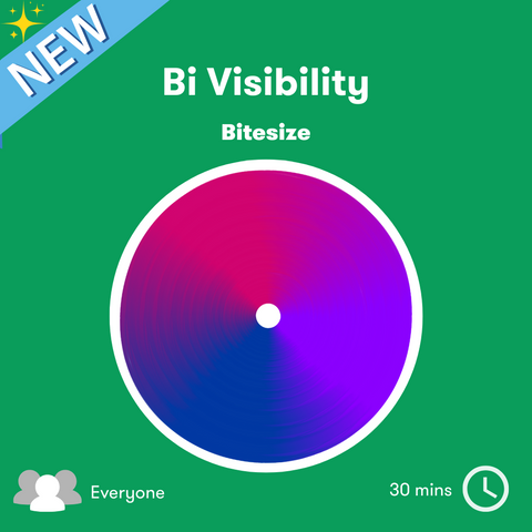 Bi Visibility Bitesize