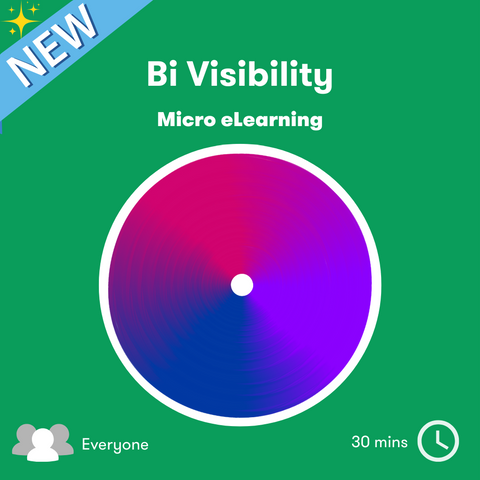 Bi Visibility Bitesize